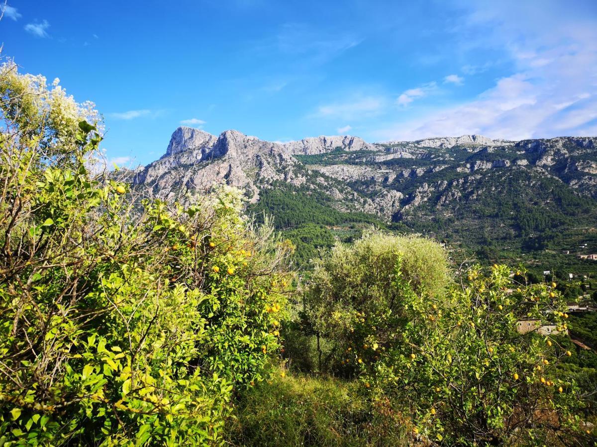 Villa Ideal Sóller Εξωτερικό φωτογραφία